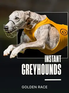 Dog - On Demand game